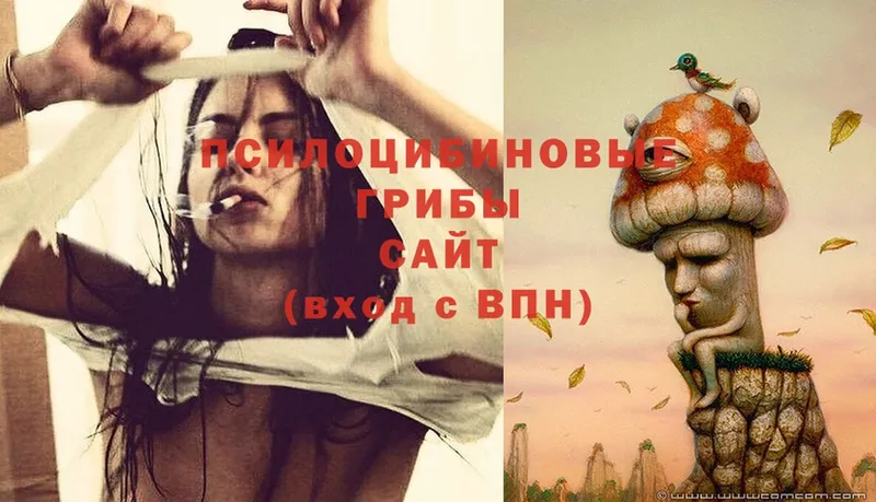 Галлюциногенные грибы Cubensis Малмыж